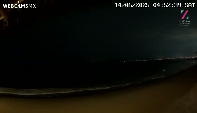 A nighttime view of a dark ocean shore with a distant line of lights visible on the horizon under a mostly clear sky.