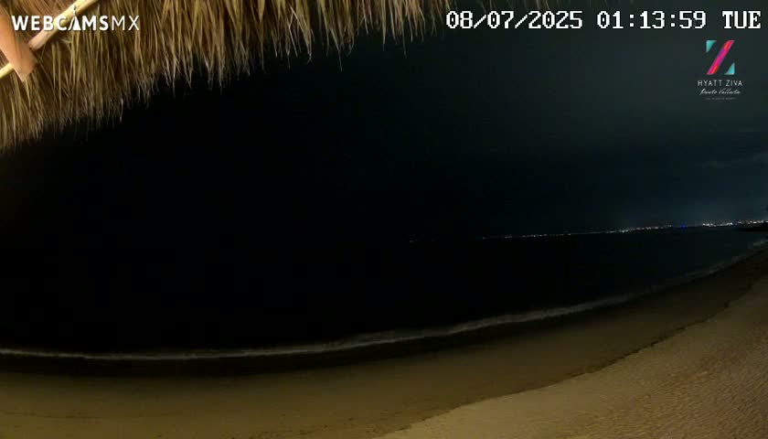 A dark nighttime beach scene is visible from under a thatched roof, showing a calm ocean with a distant city skyline faintly lit up.