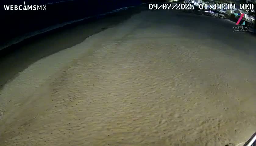 A sandy beach at night is gently lapped by dark ocean waves.