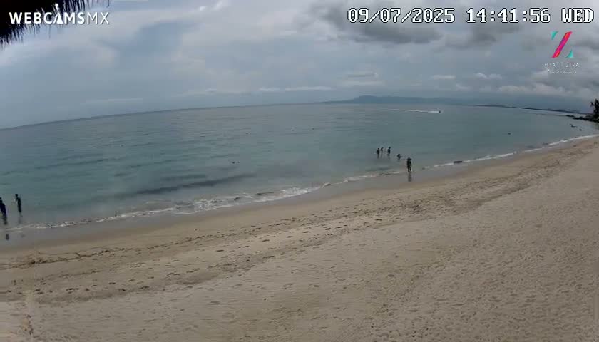 Hyatt Ziva, Playa Les Escates Beach Live Cam - Puerto Vallarta, Jalisco, Mexico