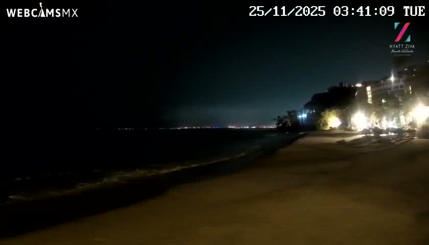The image shows a dark beachfront at night with illuminated buildings and palm trees on the right, and the ocean with faint waves and distant city lights stretching along the horizon on the left, under a clear sky.