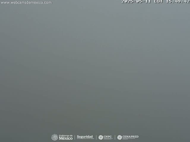 A thick gray fog obscures the view of an outdoor scene.