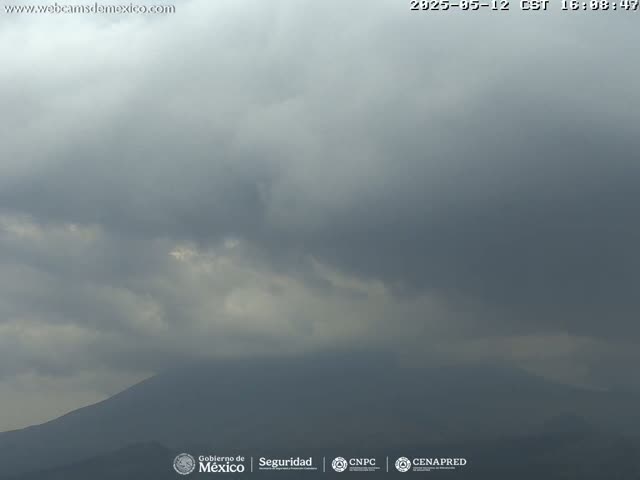 A distant mountain is visible under a heavily overcast sky.