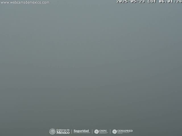 A gray, foggy outdoor scene is visible.