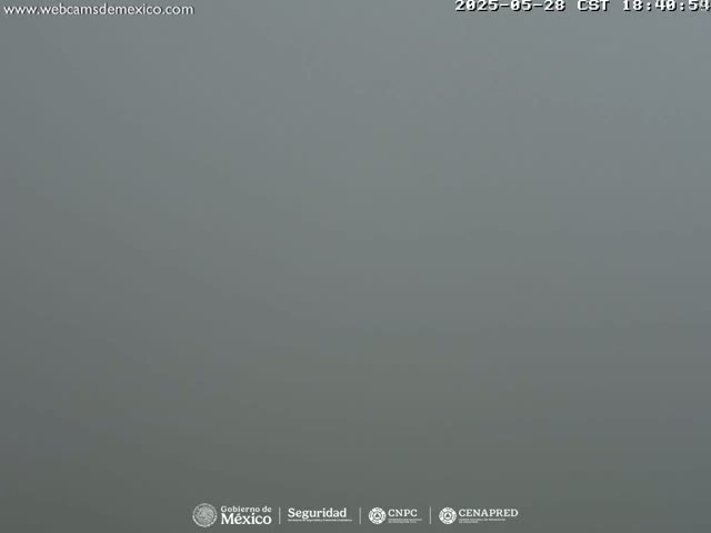A uniformly gray, foggy scene is visible.