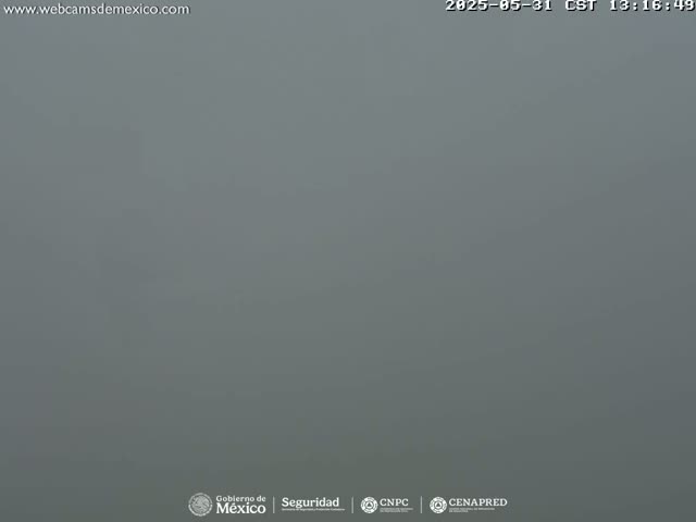 A uniformly gray, foggy scene is visible.