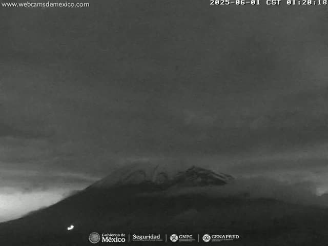 A snow-capped mountain is visible under a dark, cloudy night sky.
