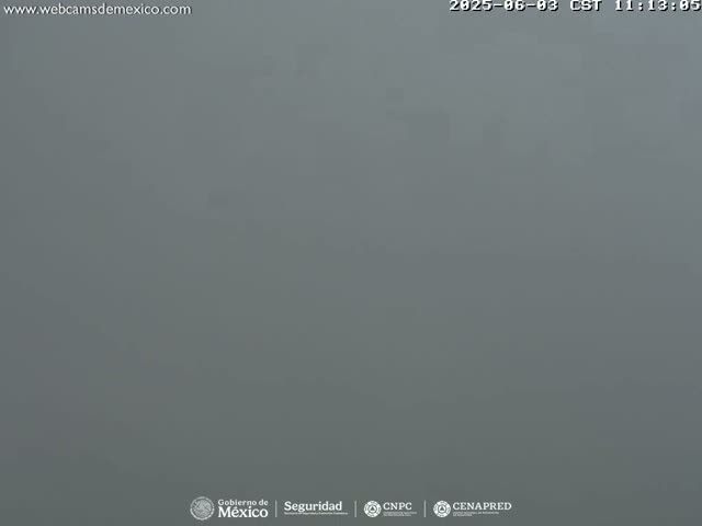 A solid, uniformly gray scene is visible, suggesting heavy fog or mist.