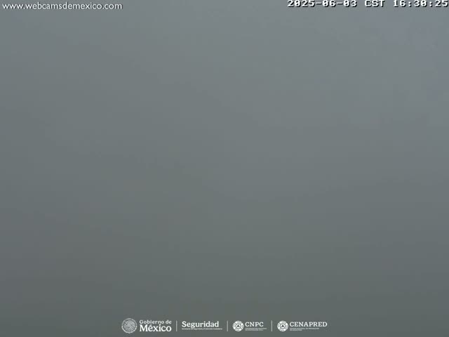 A uniformly gray, foggy scene is visible.
