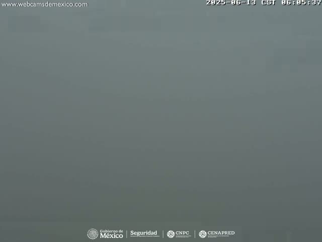 A uniformly gray, hazy scene is visible, suggesting foggy or overcast weather conditions.
