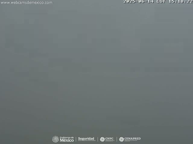 A solid gray expanse of fog obscures all visibility.