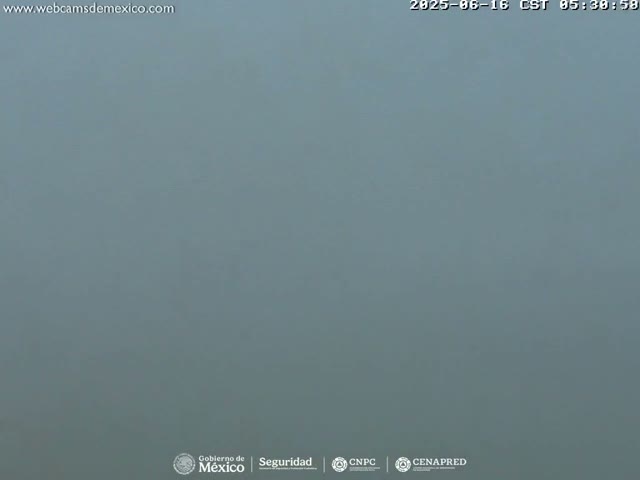 A uniformly light-grey, foggy scene is visible.