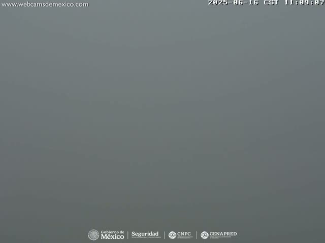 A gray, foggy scene is visible.