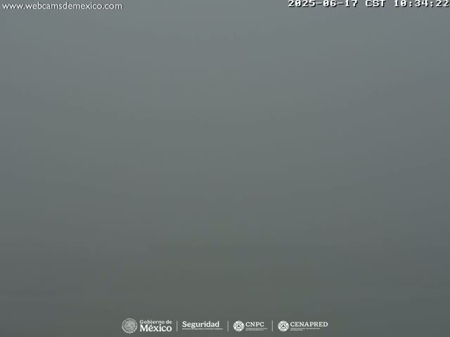 A heavily overcast, gray sky fills the entire frame.