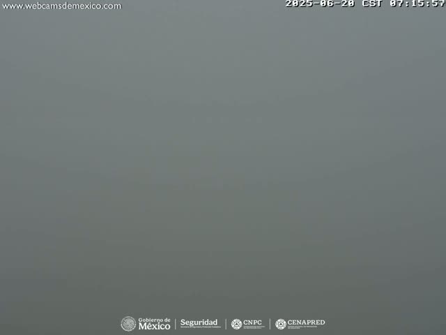 A thick fog obscures the view of an outdoor scene.