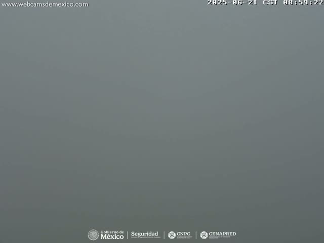 A uniformly gray, foggy scene is visible.