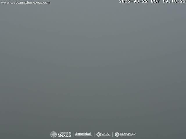 A uniformly gray, foggy scene is visible.