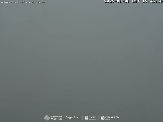 A uniformly gray, foggy scene is visible.