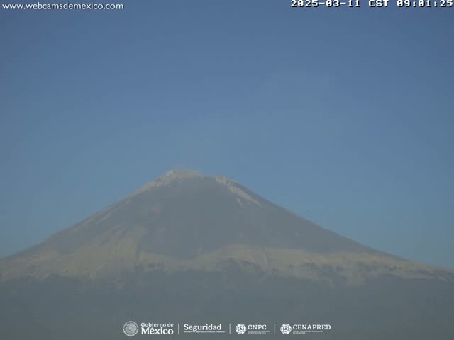 A snow-capped mountain is visible under a clear blue sky.