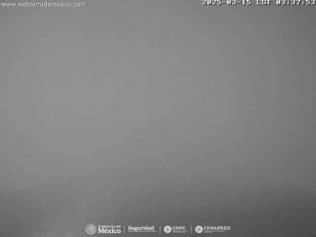 A solid, uniformly gray image is shown.