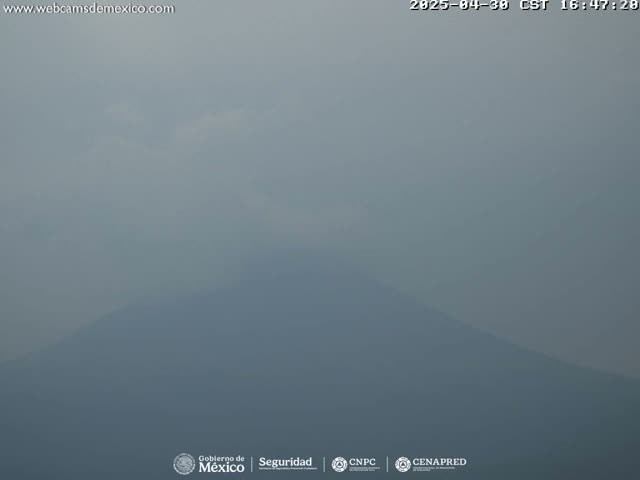 A hazy, distant mountain is visible under a muted sky.