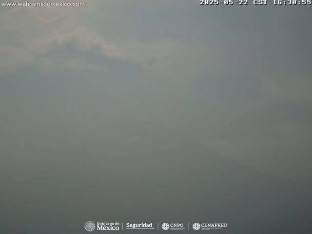 A hazy, overcast sky is visible outdoors.