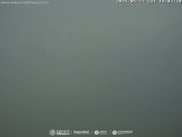 A solid, gray fog obscures all visibility outdoors.