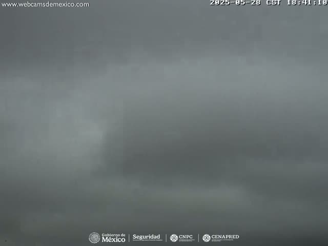A thick fog obscures the view of an outdoor scene.