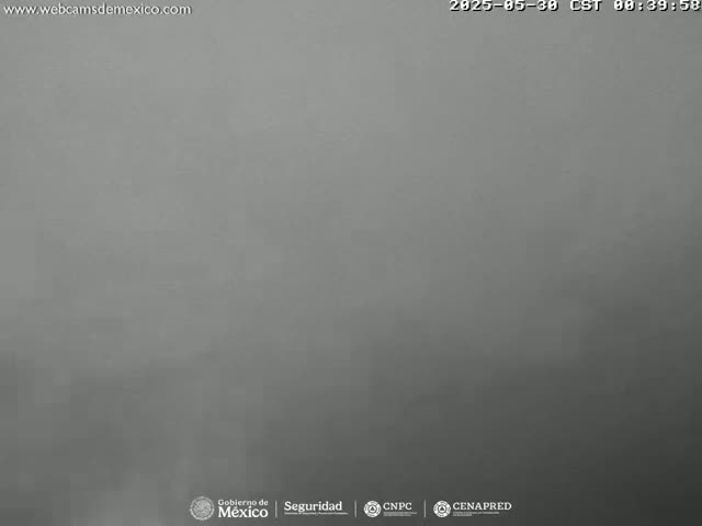 A uniformly gray, foggy scene is visible.