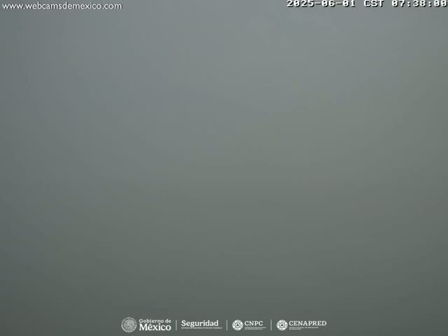 A solid, gray, fog-filled scene is visible.