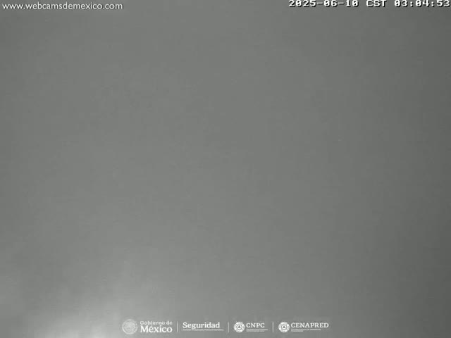 A uniformly gray, featureless image is shown.