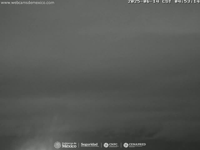 A hazy, overcast sky is visible in a low-resolution, grayscale outdoor image.