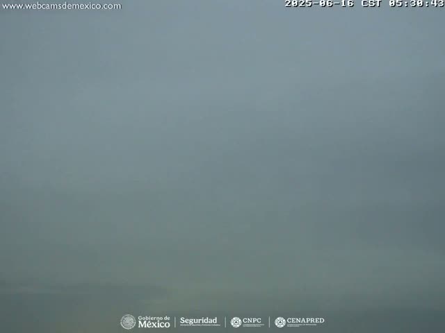 A hazy, gray landscape is visible under overcast skies.