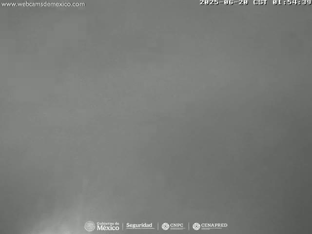 A uniformly gray, overcast scene is visible.