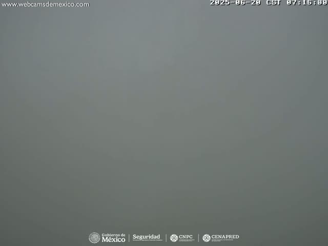 A thick fog obscures all visibility outdoors.