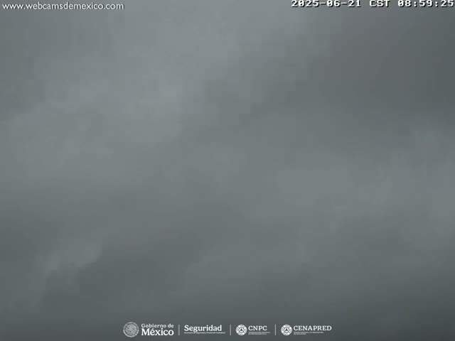 A very foggy or overcast outdoor scene is visible.
