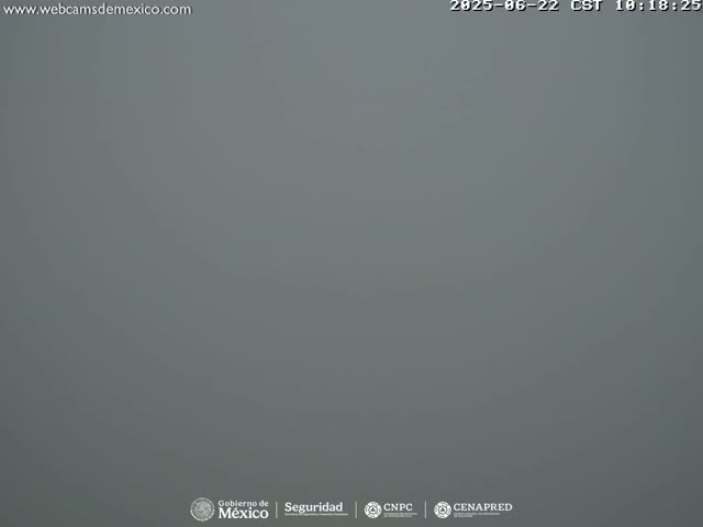 A uniformly gray, foggy scene is visible.
