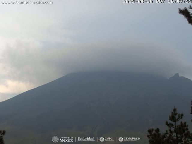 A hazy, overcast day reveals a large, dark mountain in the distance, with a few dark green trees visible in the lower right corner.