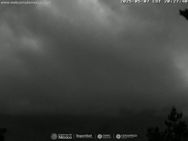 A dark, overcast sky is visible above a silhouetted tree line.