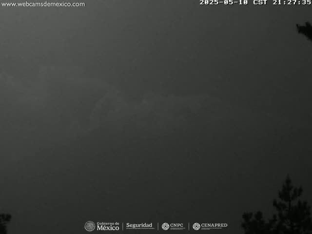 A dark, overcast night sky is visible above a silhouette of trees at the bottom of the frame.