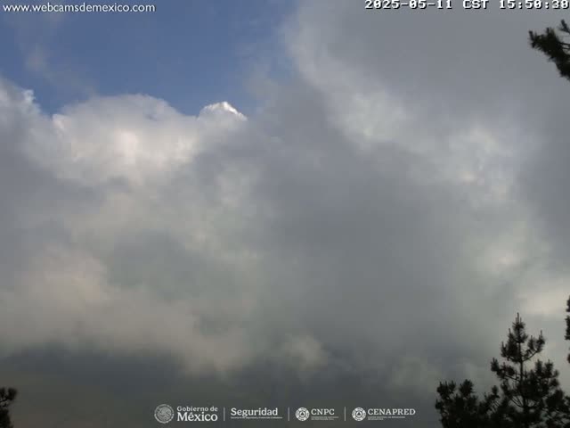 A mostly cloudy sky with some brighter areas, partially obscuring the silhouettes of evergreen trees in the lower right corner.