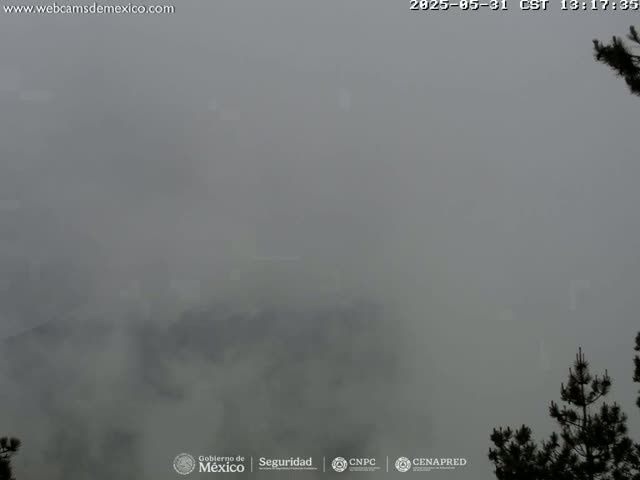 A heavily overcast, foggy scene shows dark silhouettes of trees and hills in the distance.
