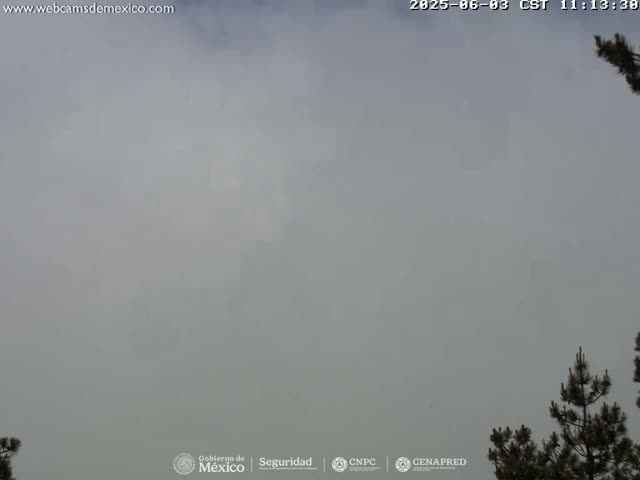 A mostly overcast sky with a few dark pines visible in the lower right corner.