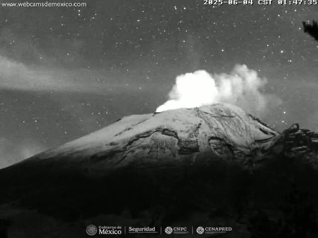 A snow-capped volcano erupts under a starry night sky.