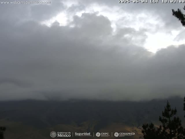 A mostly cloudy, overcast sky hangs over dark, distant mountains and a bit of foreground vegetation.