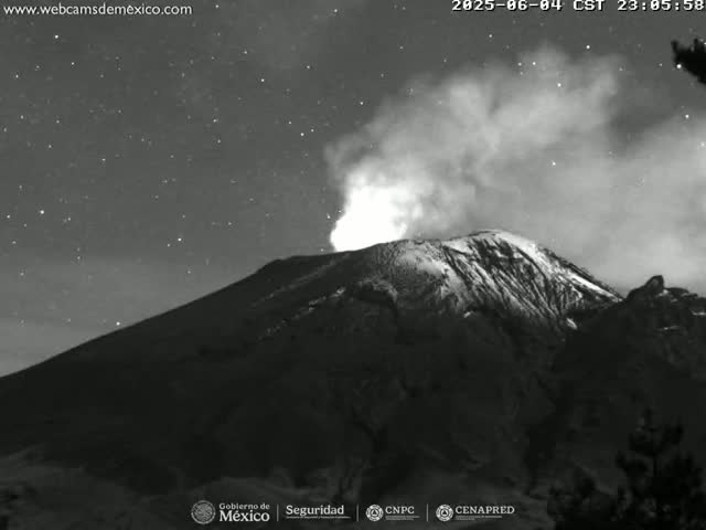 A snow-capped volcano erupts under a starry night sky.