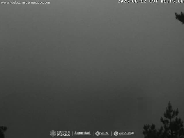 A foggy or hazy outdoor scene shows a few dark trees in the bottom right corner against a uniformly gray sky.