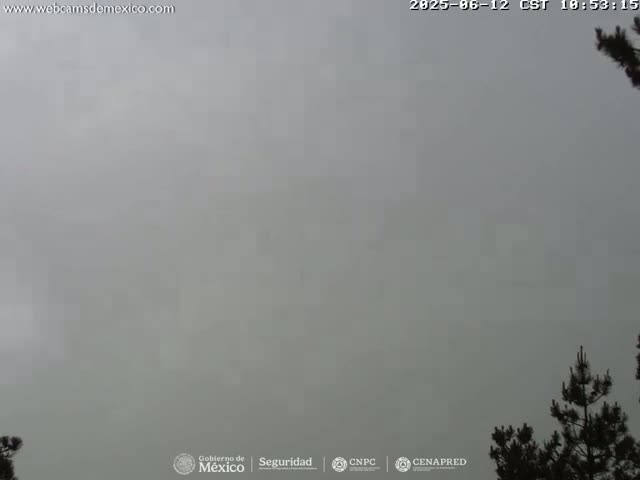 A mostly overcast sky with some silhouetted pine trees visible in the lower right corner.