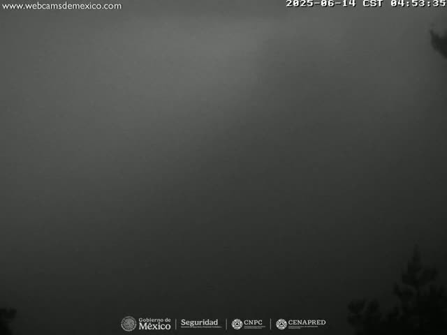 A dark, foggy scene shows the silhouettes of trees in the bottom right corner.