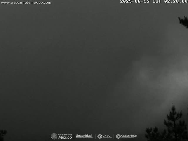 A mostly overcast, dark gray sky is shown, with a few silhouetted trees visible at the bottom right.